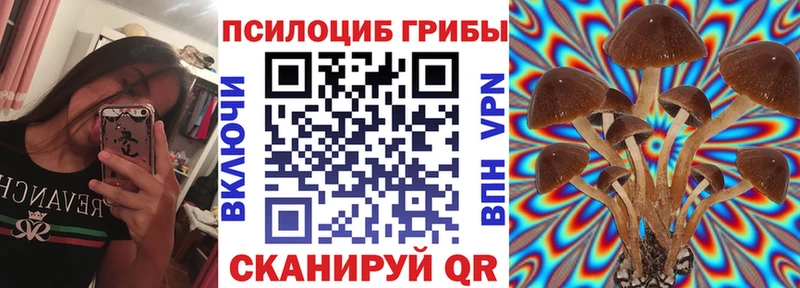 Галлюциногенные грибы мицелий  Купить где  Вязьма 