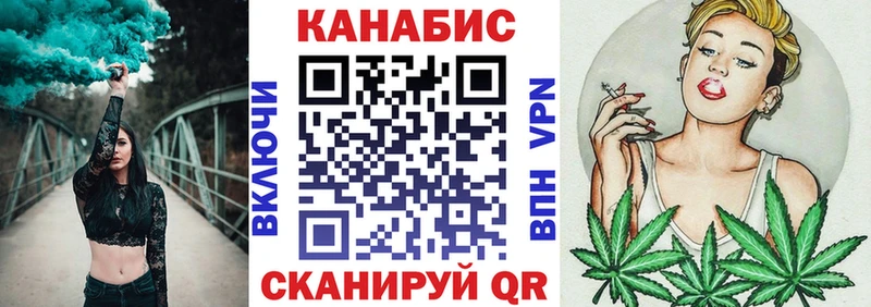 Купить где  Вязьма  Конопля индика 